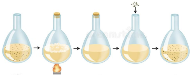 Lazzaro Spallanzani (the year is approximate)