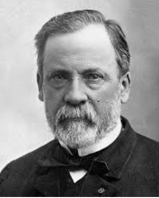 Louis Pasteur's