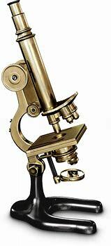 invention of the microscope