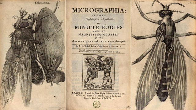 Hooke published Micrographia