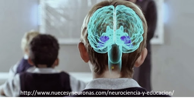 PROFUNDIZACIÓN COMO DOCENTE