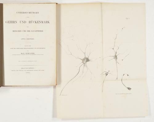 Untersuchungen über Gehirn und Rückenmark Published