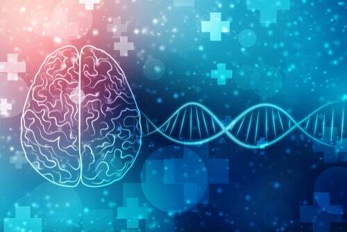 ○Interés en la genética conductual