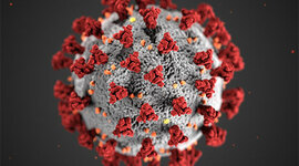Timeline: The Evolution of Society's Reaction to Pandemics