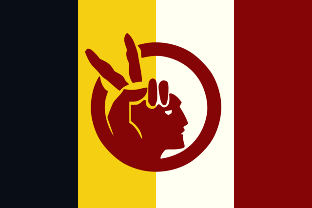 American Indian Movement (Native Americans)