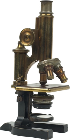 The introduction of the oilimmersion lens