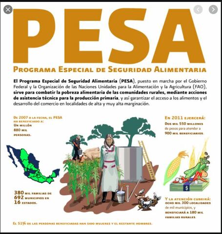 Programa Especial para la Seguridad Alimentaria; FAO piloto-2002. Nivel Nacional- 2005; Proyecto Estratégico para la Seguridad Alimentaria (pesa)