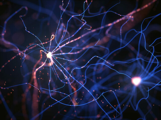 "Neurons"