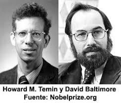 Howard Temin & David Baltimore