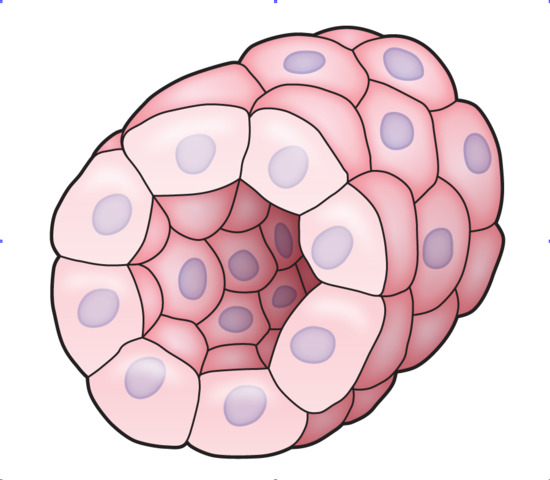 Maggots and other creatures have been discovered in tissues.