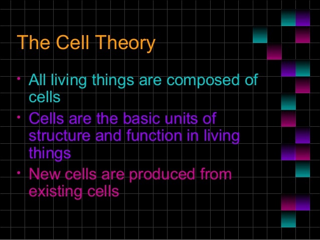 Theodor Schwann and Matthias Jakob Schleiden came together to share their research