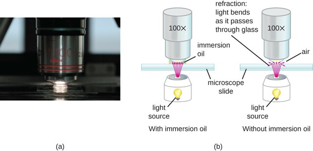 The introduction of Oil-immersion lens