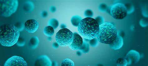 Microorganisms are discovered by Antoni Van Leeuwen-hoek