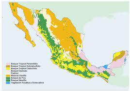 El programa Nacional de Medio Ambiente