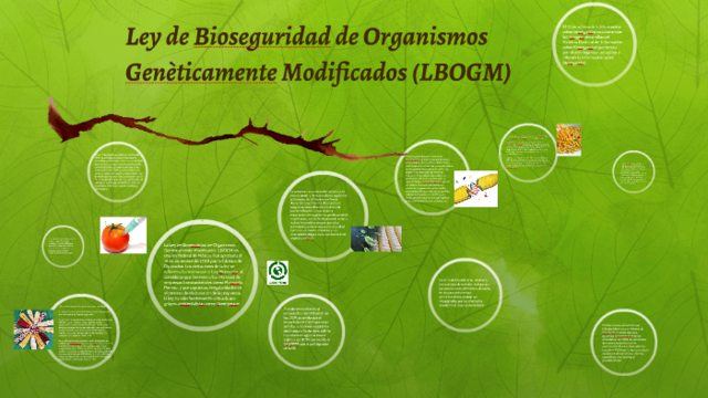 Ley  de  Bioseguridad  de  Organismos Genéticamente Modificados