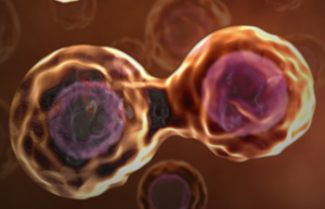 Remak, Virchow, & Kolliker prove cell come from pre-existing cells