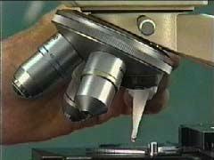 Introduction of The Oil Immersion lens