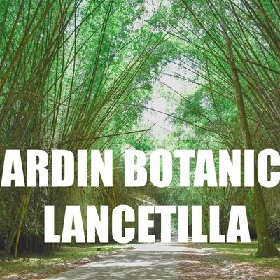 Timeline: Línea de tiempo Jardín Botánico Lancetilla
