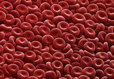 How cells are formed