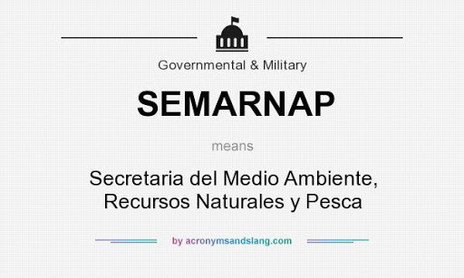 Se creó la Secretaría de Medio Ambiente Recursos Naturales y Pesca (SEMARNAP)