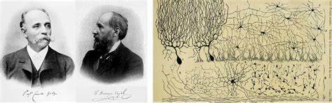 The 'Black Reaction'