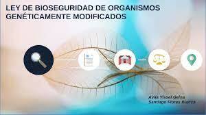 Ley de Bioseguridad de Organismos Genéticamente Modificados