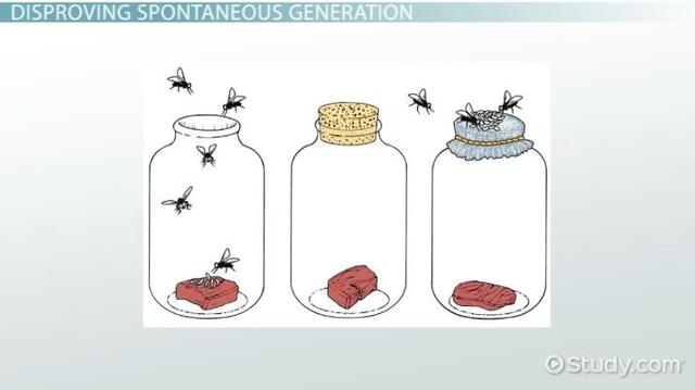 Spontaneous Generation Refution