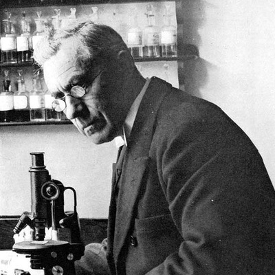 Timeline: Martinus Willem Beijerinck