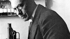 Timeline: Martinus Willem Beijerinck