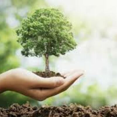 Timeline: Politica ambiental de Mexico_Beltran Ortega