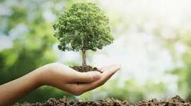 Timeline: Politica ambiental de Mexico_Beltran Ortega