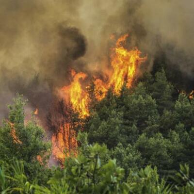 Timeline: FIRES IN CHIOS