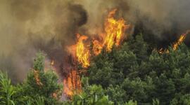 Timeline: FIRES IN CHIOS