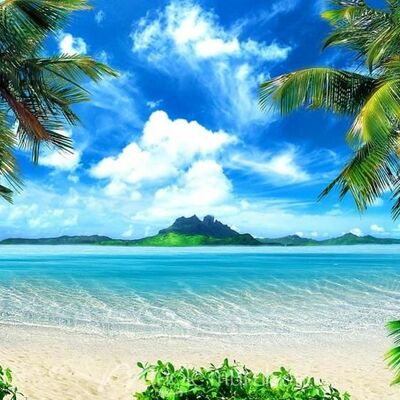 Timeline: The Evolution of Educational Technology from 1960 to 2020