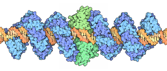 Trasplante de genoma (Bio Mol)