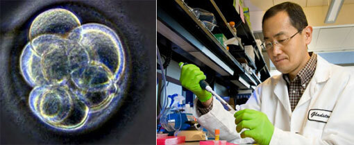 "Reprogramación Celular" (Bio Mol)