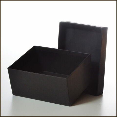 1ères études : fctment de la «boite noire» ⬛ (= système cognitif)