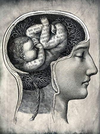 principales aportaciones