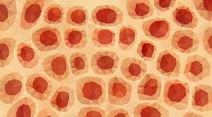 Robert Hook came up with the term “cell” naming it after prison cells.