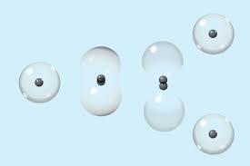 Lazzaro Spallanzani found that an organism derives from another organism.