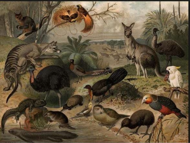 Convención sobre el Comercio Internacional de Especies Amenazadas de Fauna y Flora Silvestres.