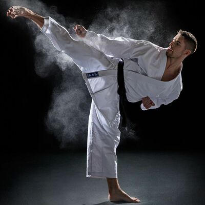 Timeline: Historia del Karate do