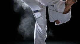 Timeline: Historia del Karate do