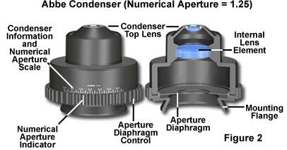 Abbe Condenser