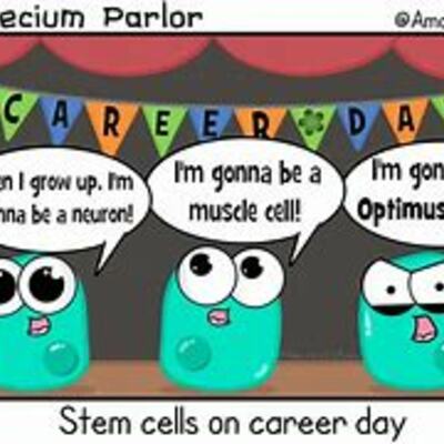 Timeline: Cell Theory Timeline