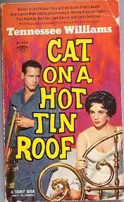 Cat on a Hot Tin Roof