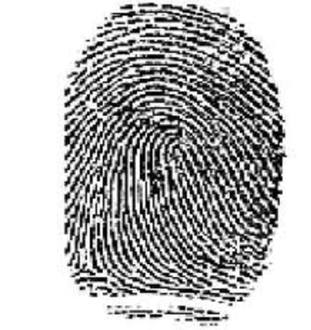 First Practice of Forensic Science