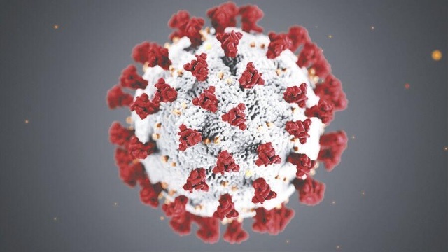 Corona Virus Pandemic