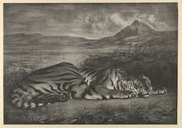 Royal Tiger