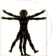 Vitruvian man 4995947 1280